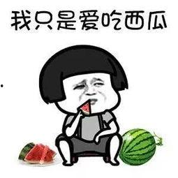 娱乐圈有什么瓜可以吃,揭秘明星幕后故事与精彩瞬间  第3张